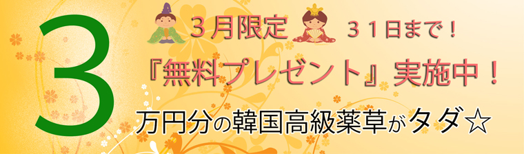 yomogi-sales-banner3